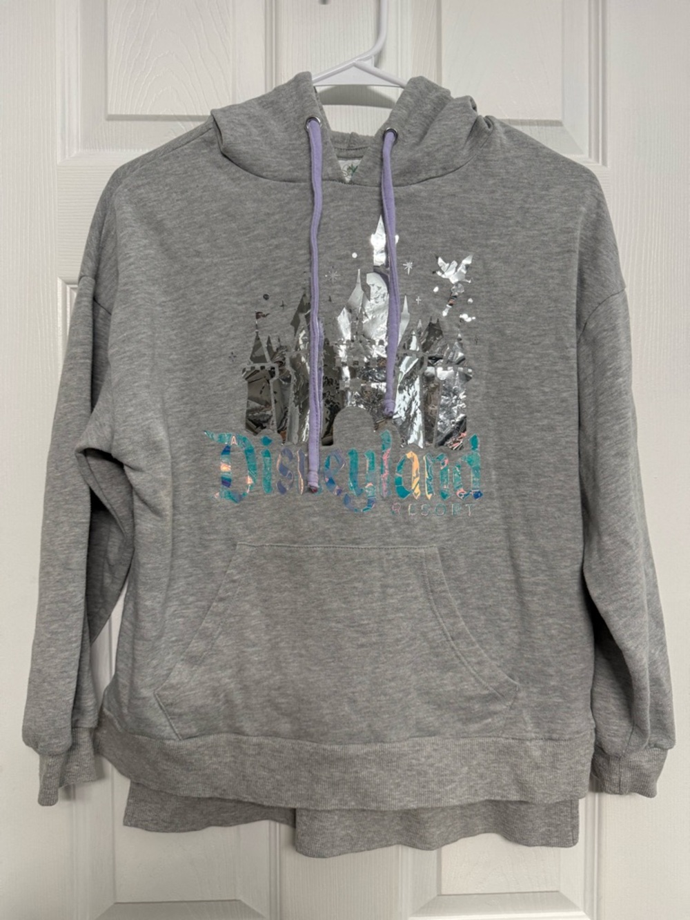 Disneyland Iridescent Cinderella Castle Hoodie